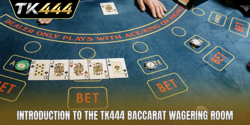 Introduction to the TK444 Baccarat wagering room